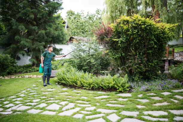 Best Best Pest Control Companies  in Holmes Beach, FL